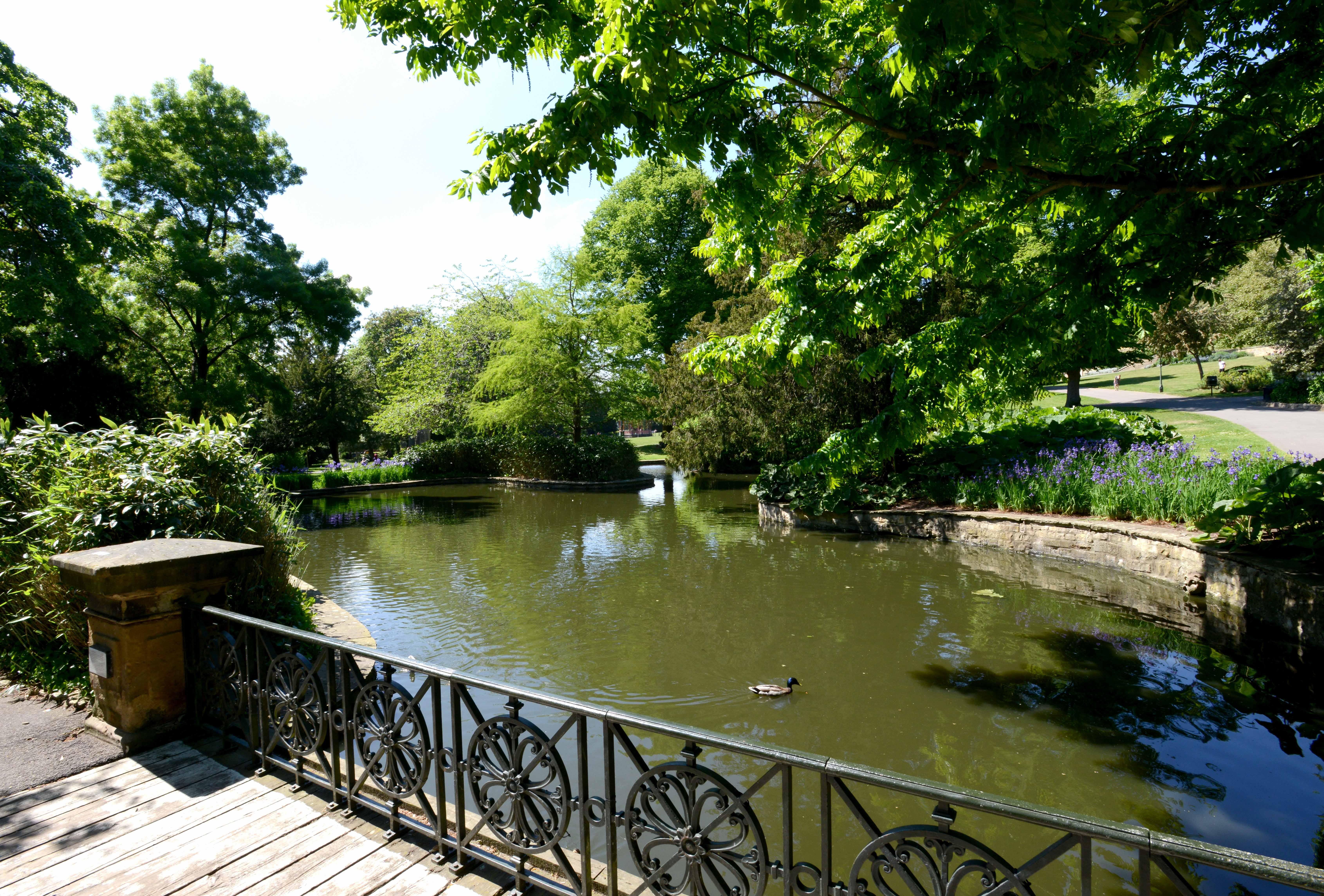 At Lincoln Arboretum, overlooking a lake with a duck swimming in it. There trees and flowers surrounding the lake.