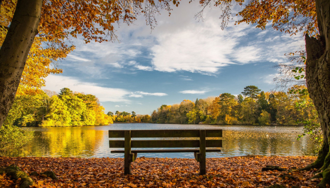 Photograph of a bench and landscape setting at Hartsholme Country Park