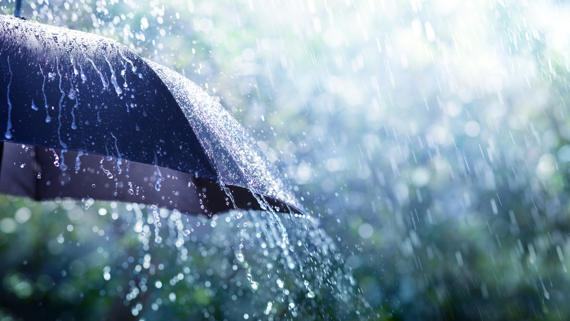 Umbrella and rain image