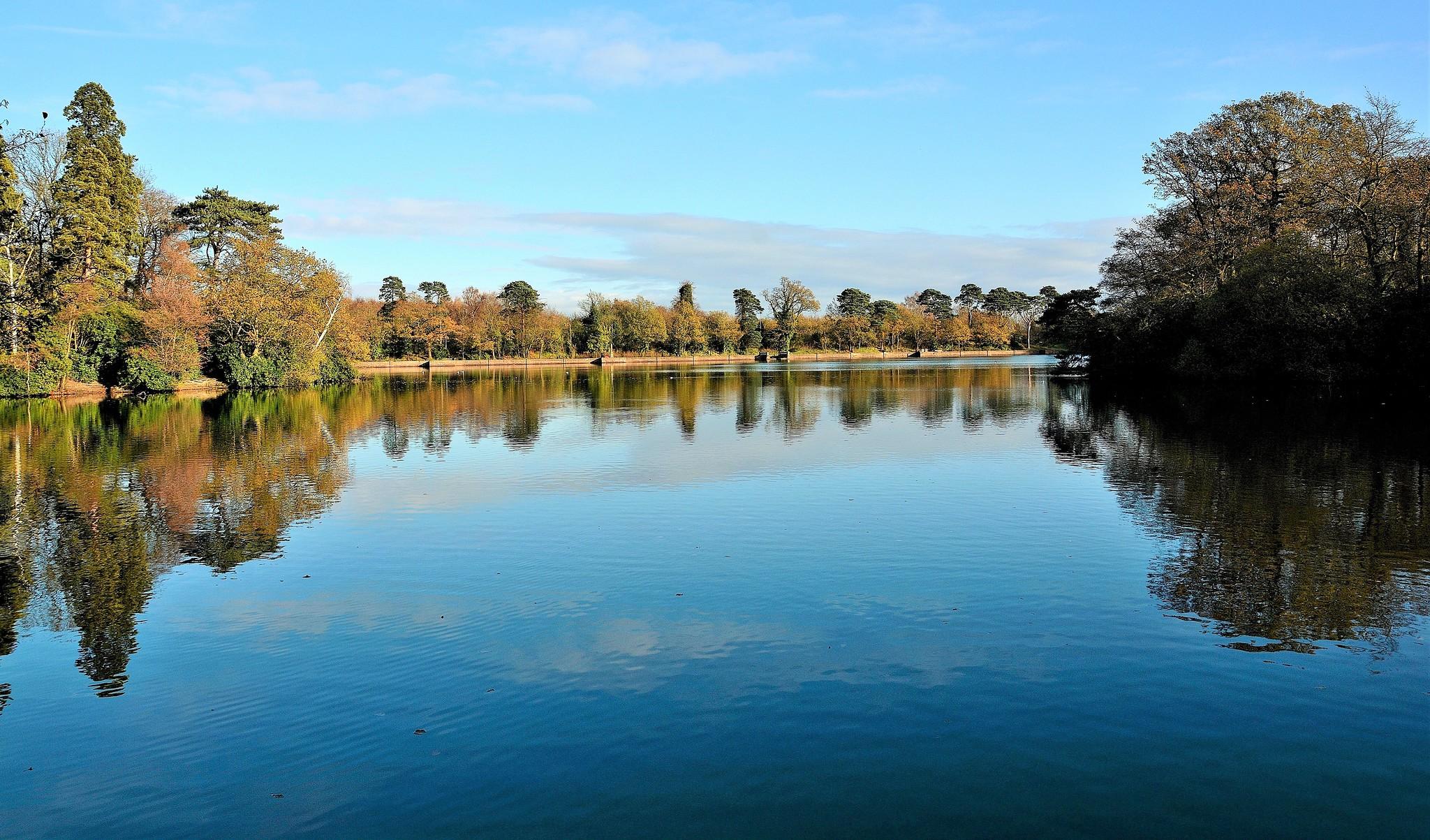 Hartsholme Lake