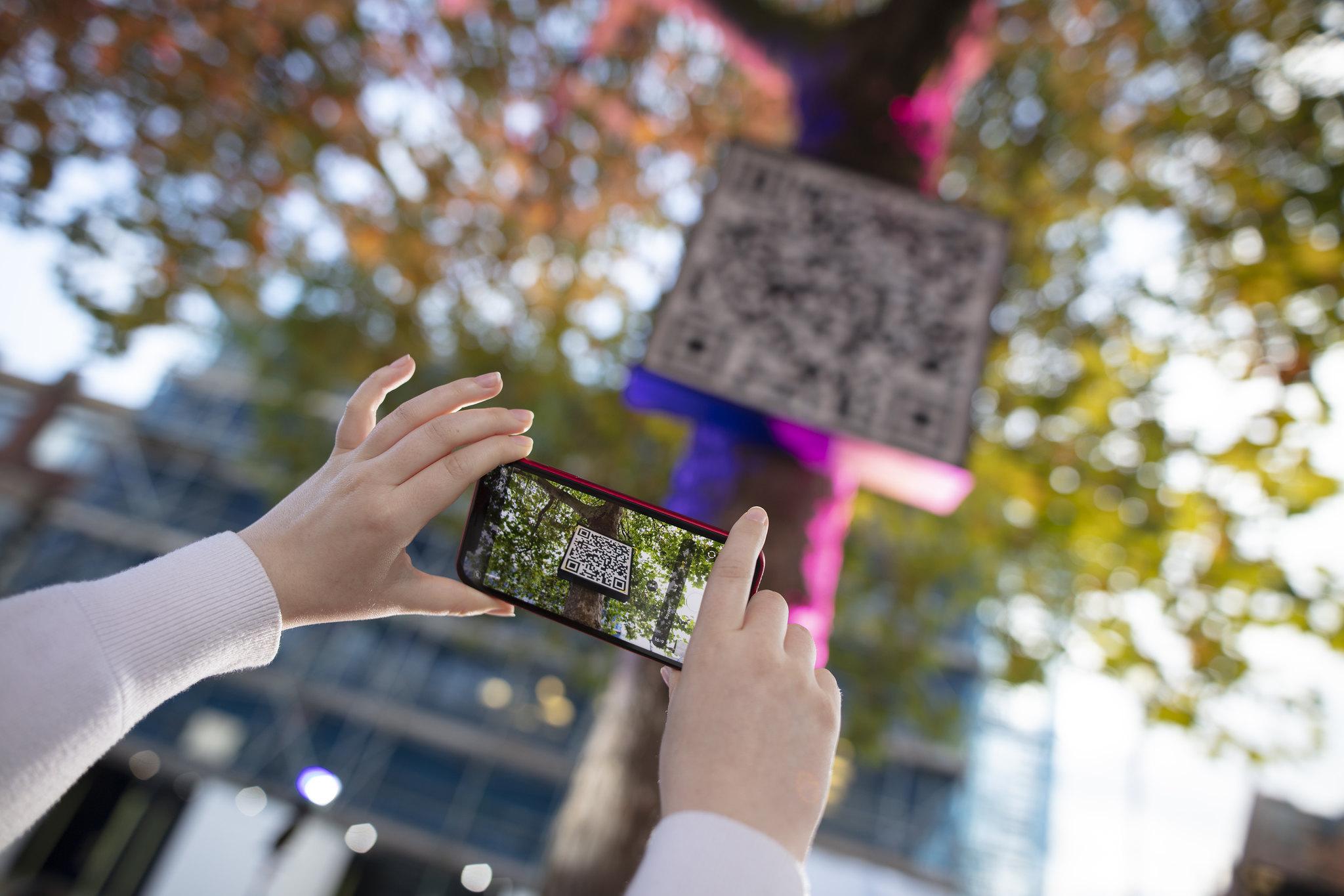 Scanning a QR code on a tree