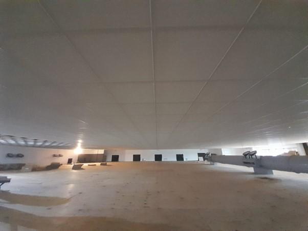Ceiling and lighting works