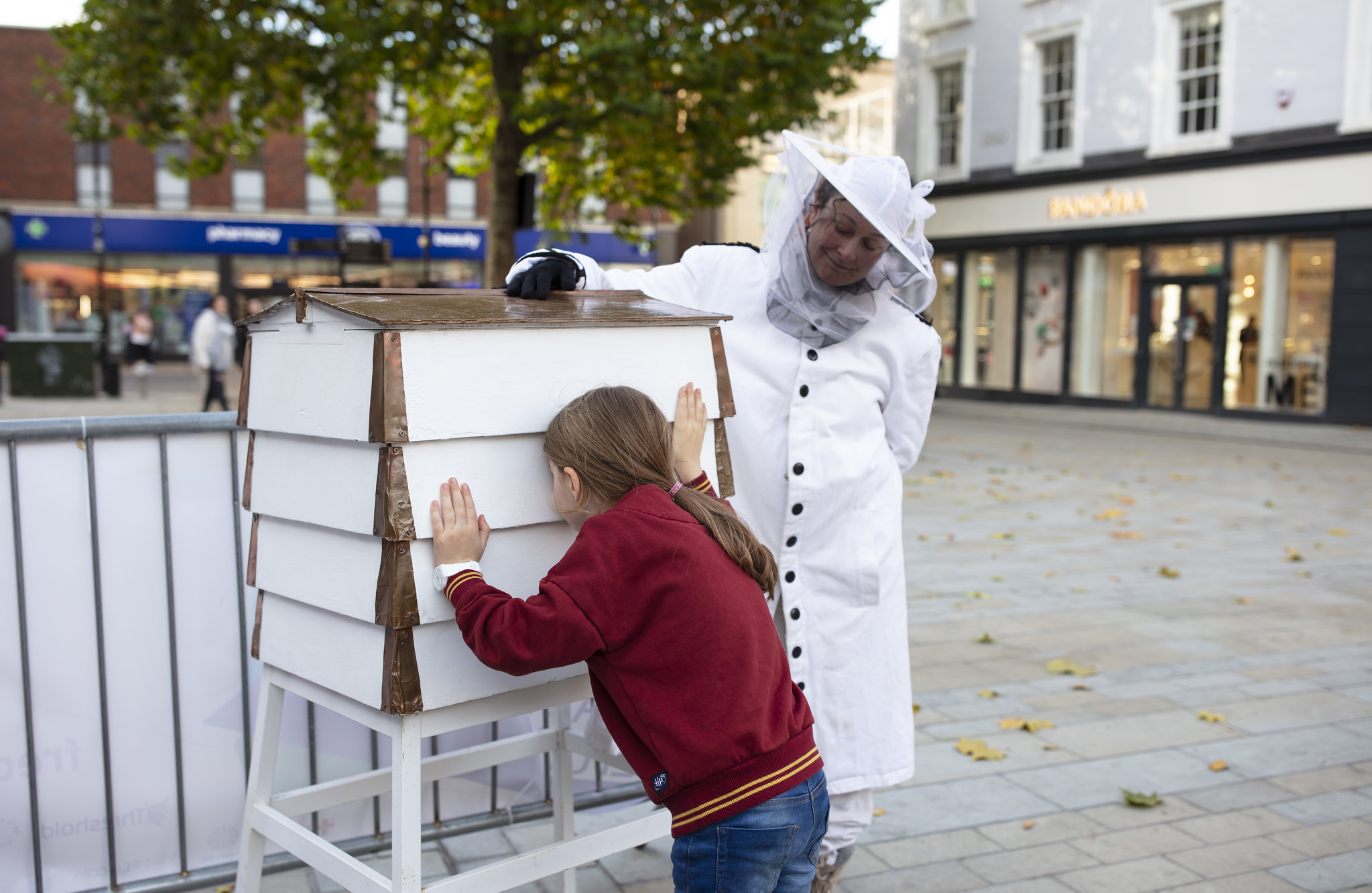 A colony of bees on Lincoln high street