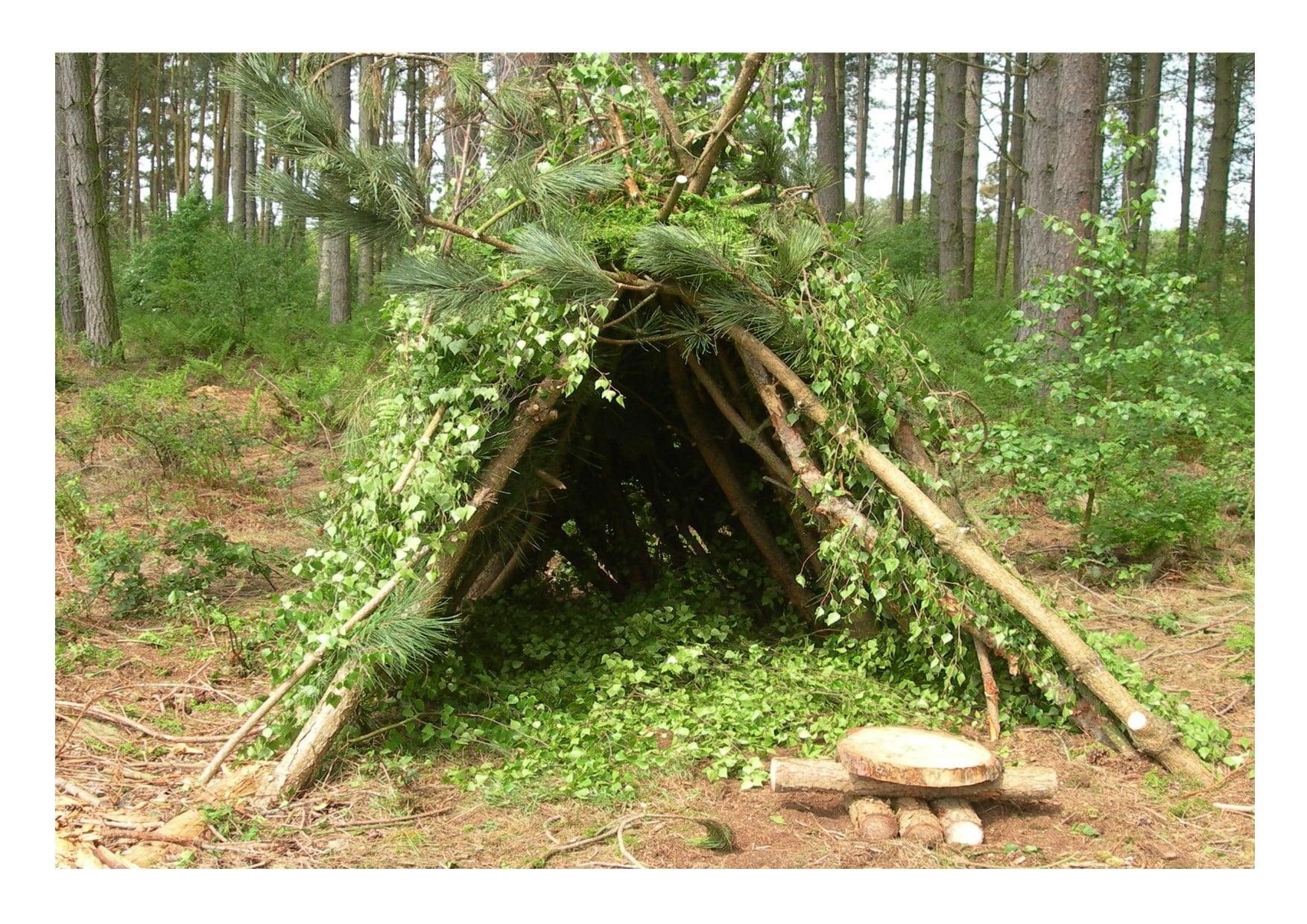 Where to Find Green Cloth in Z Survival Shelter: Ultimate Guide