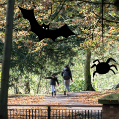 A picture of a guardian and child walking in Hartsholme Country Park on an autumn day, a cartoon bat and spider frame the picture.