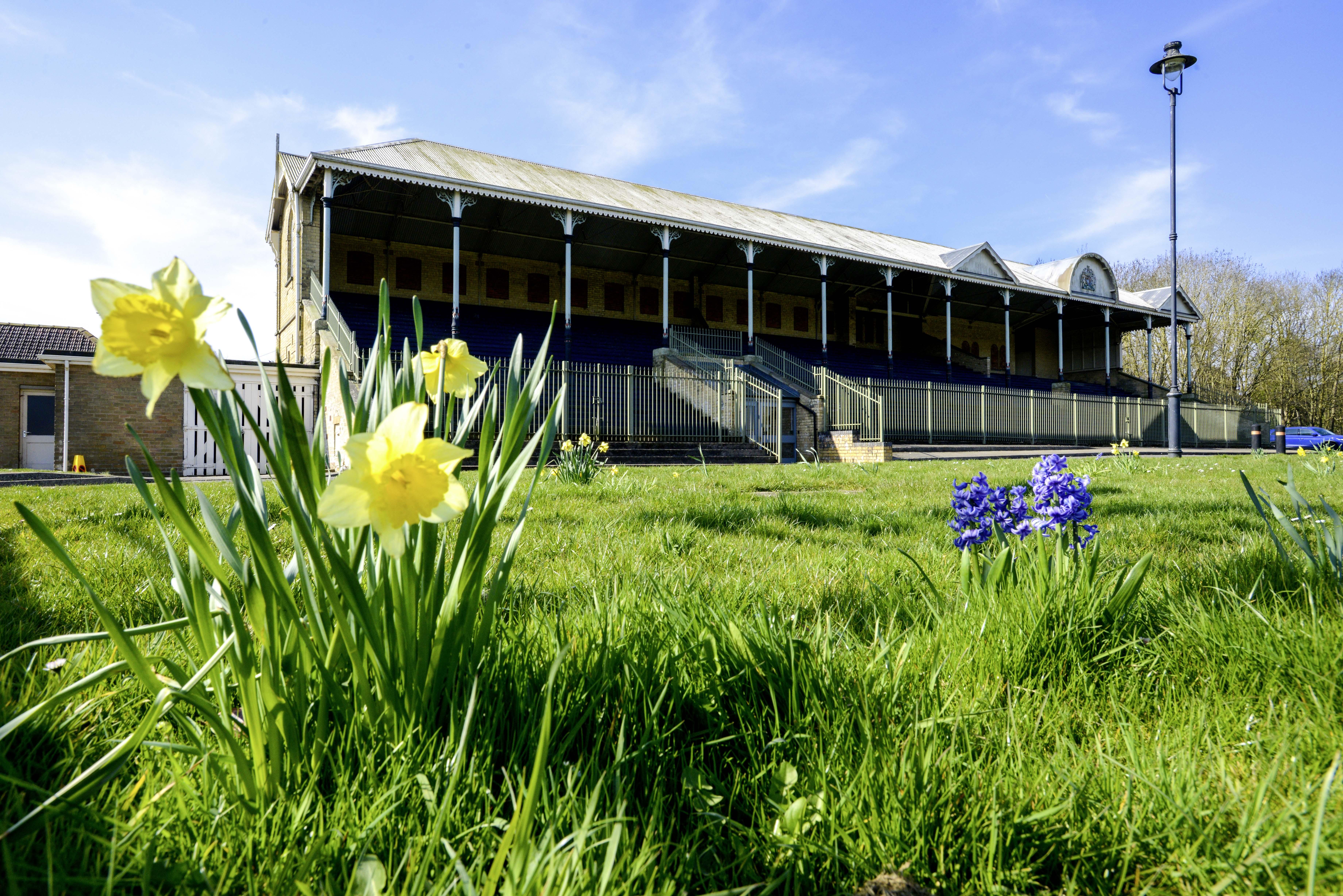A low picture looking up at the Grandstand with fresh green grass and daffodils in front of it.