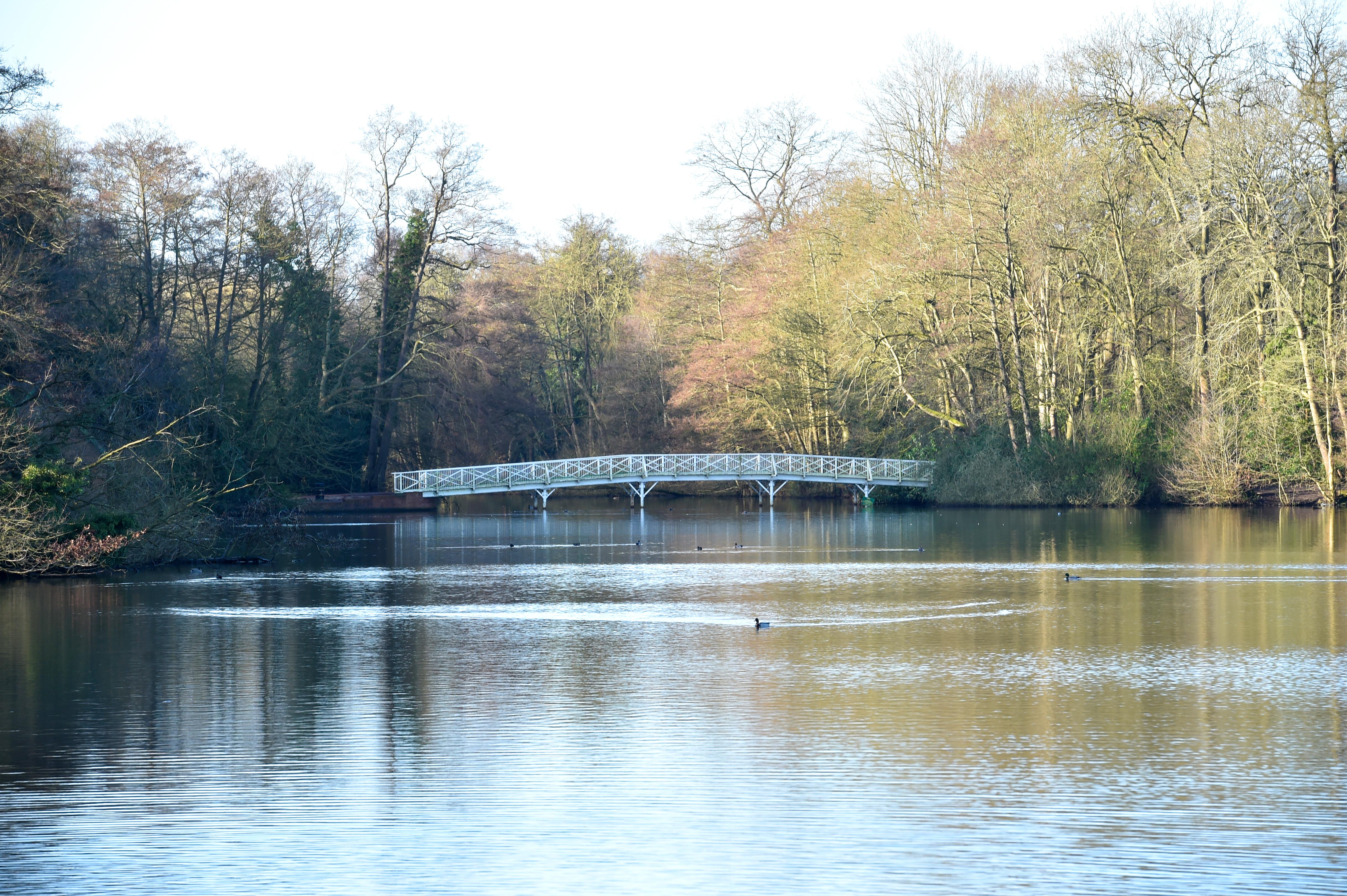 A white bridge going over the lake at Hartsholme Country Park.