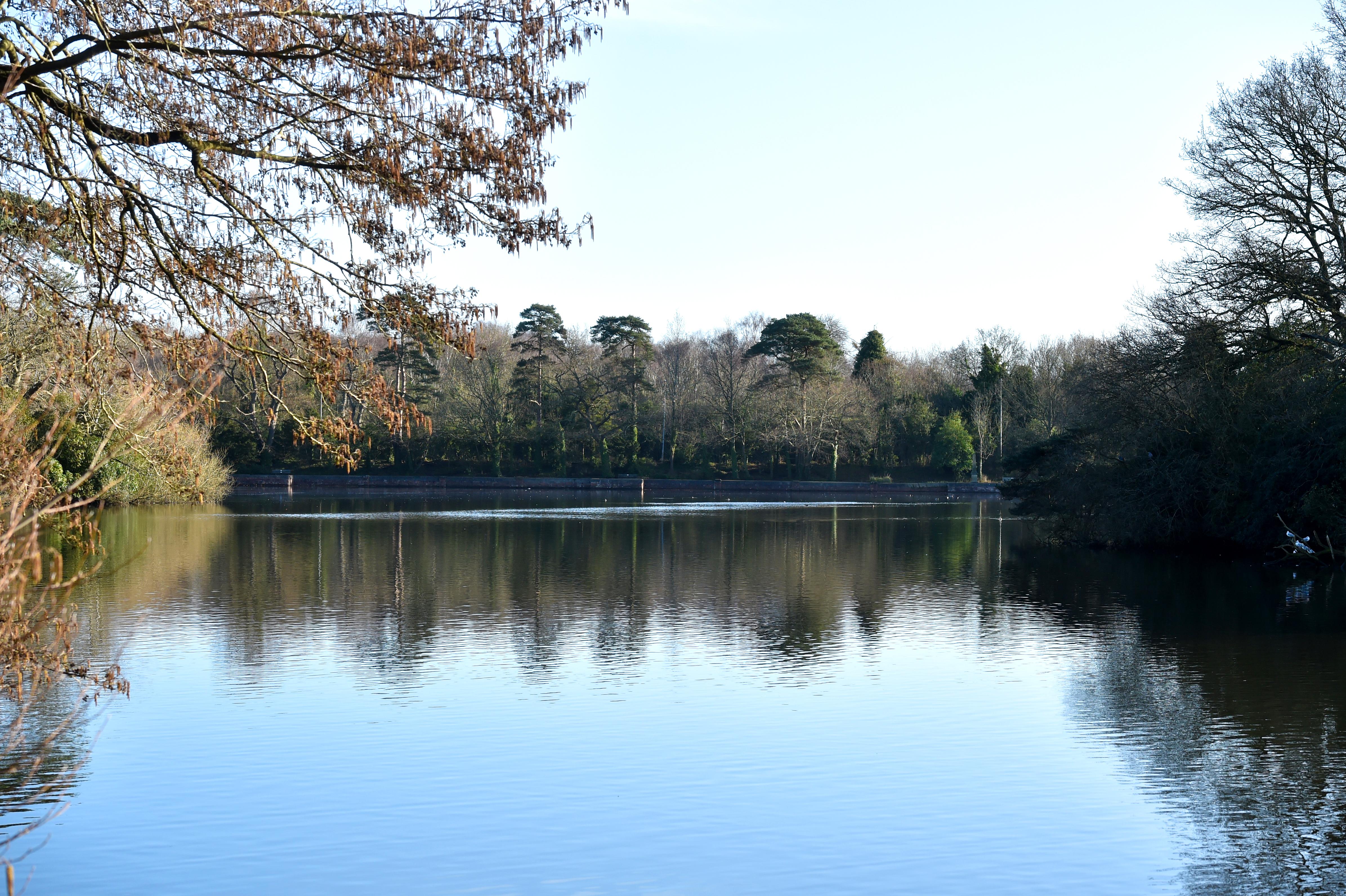 Green leafy trees surrounding a body of water. The trees are reflecting in the surface of the clear water.