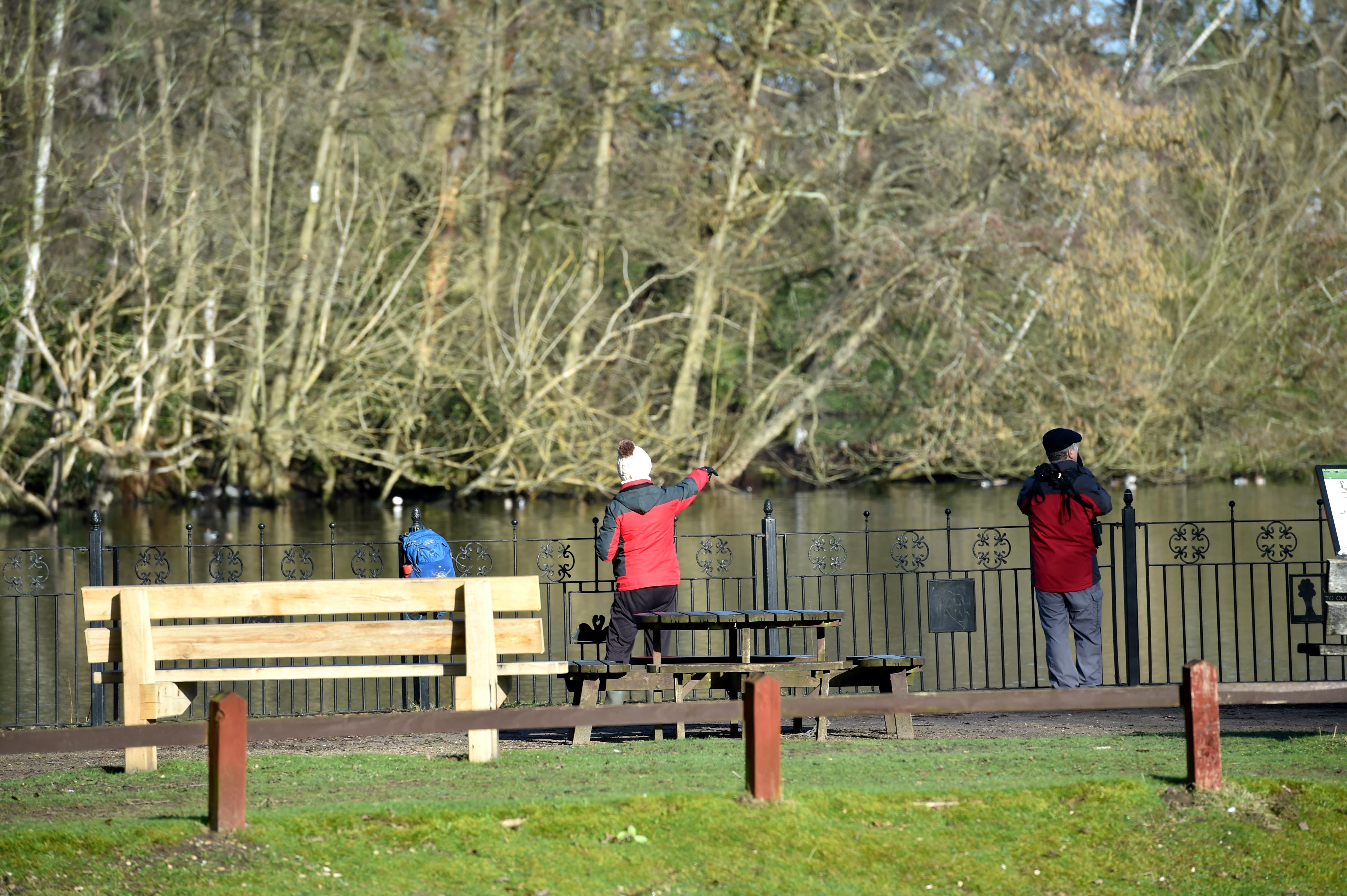 The backs of a young boy and an old man looking into a lake against railings.