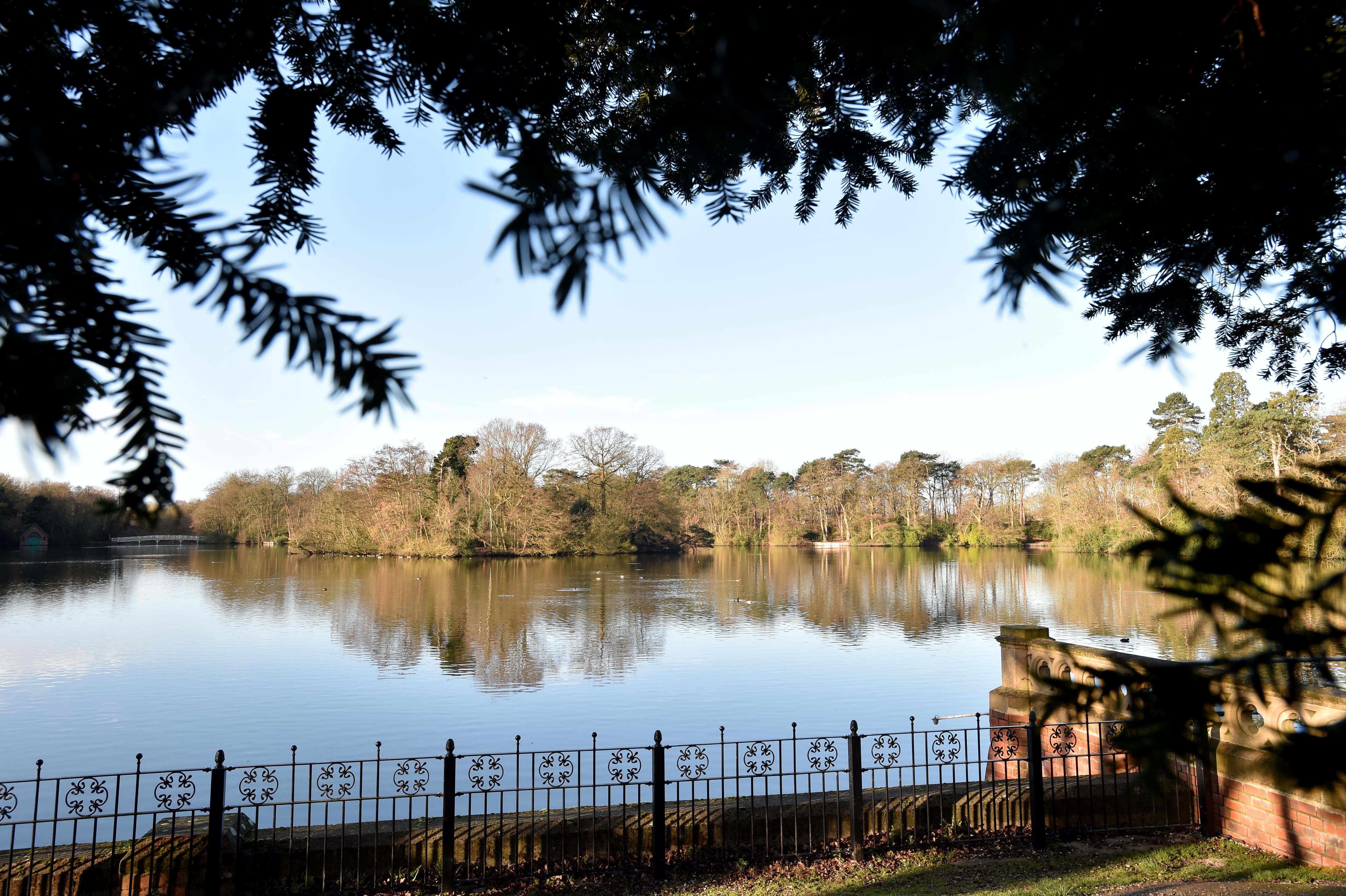 A picture taken from behind a decorative metal fence of a large lake surrounded by trees.