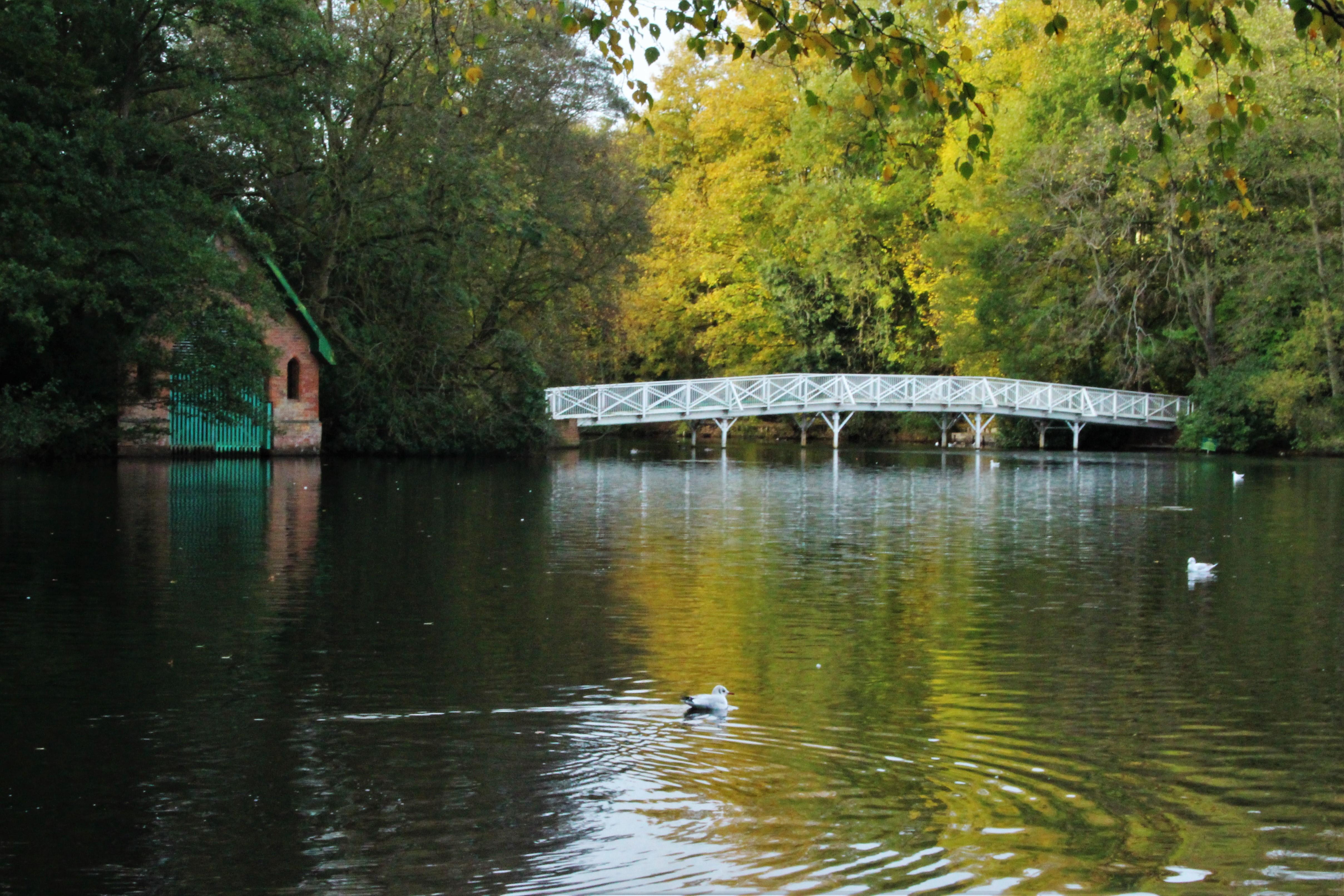 View of the White Bridge and Boathouse om Hartsholme Lake