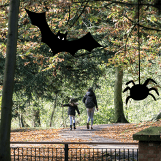 A picture of a guardian and child walking in Hartsholme Country Park on an autumn day, a cartoon bat and spider frame the picture.