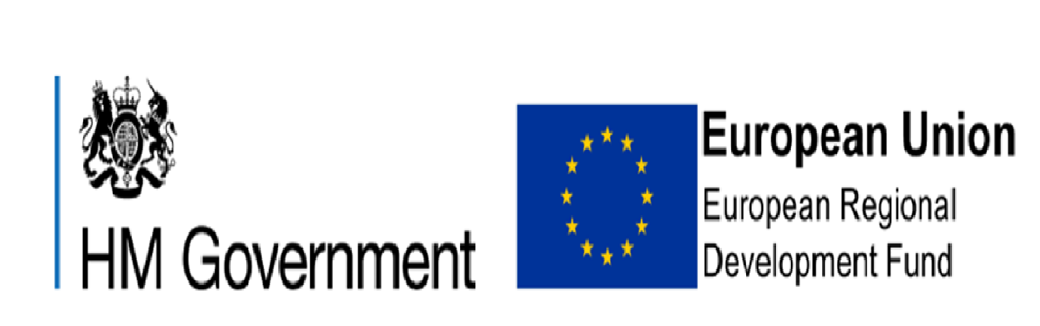 HMG and EU Logos