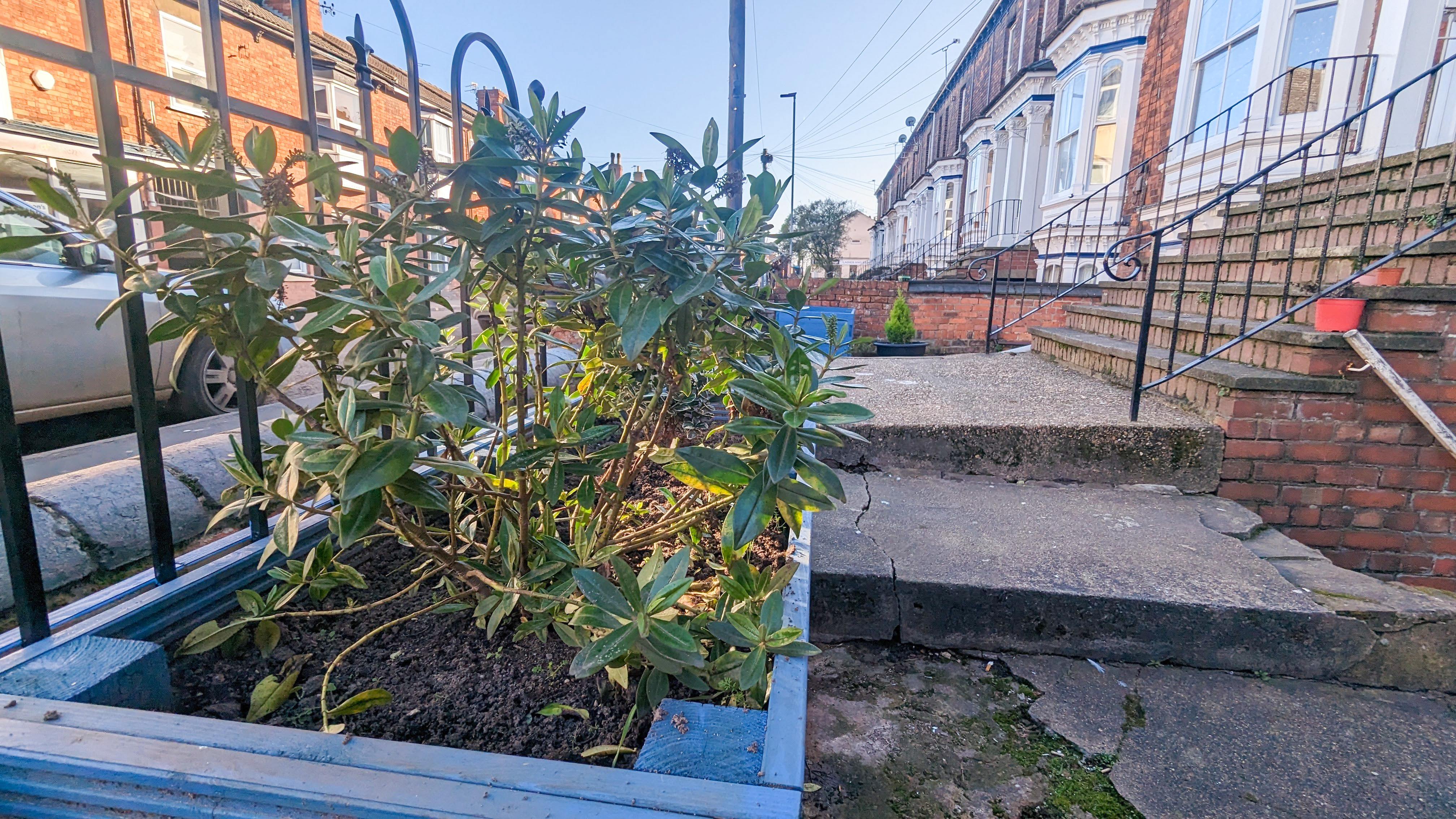 Photo of the plant pots and plants made for the project