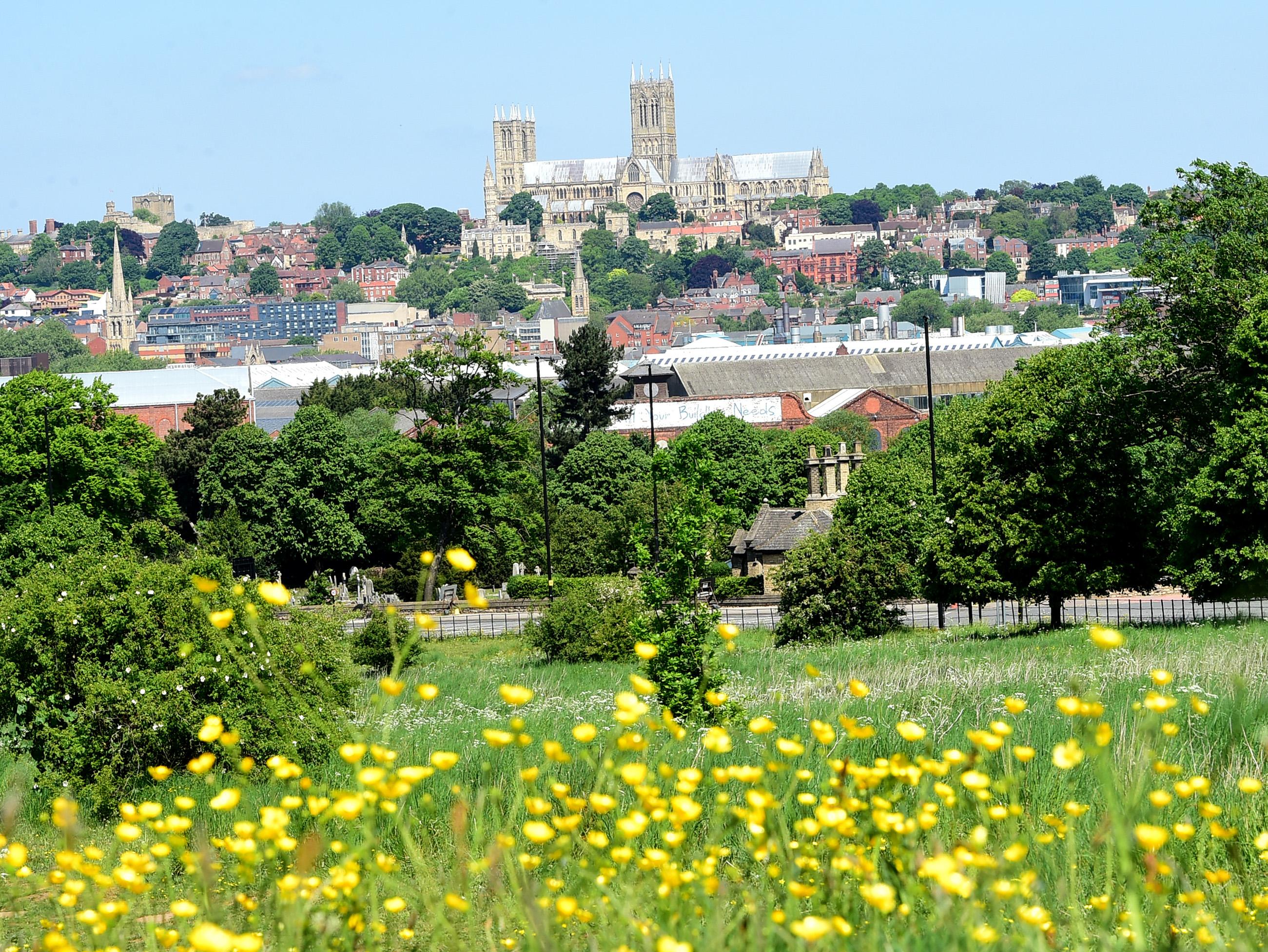 A grassy, flowery field in the forefront with Lincoln Cathedral in the distance behind shows of buildings and houses.