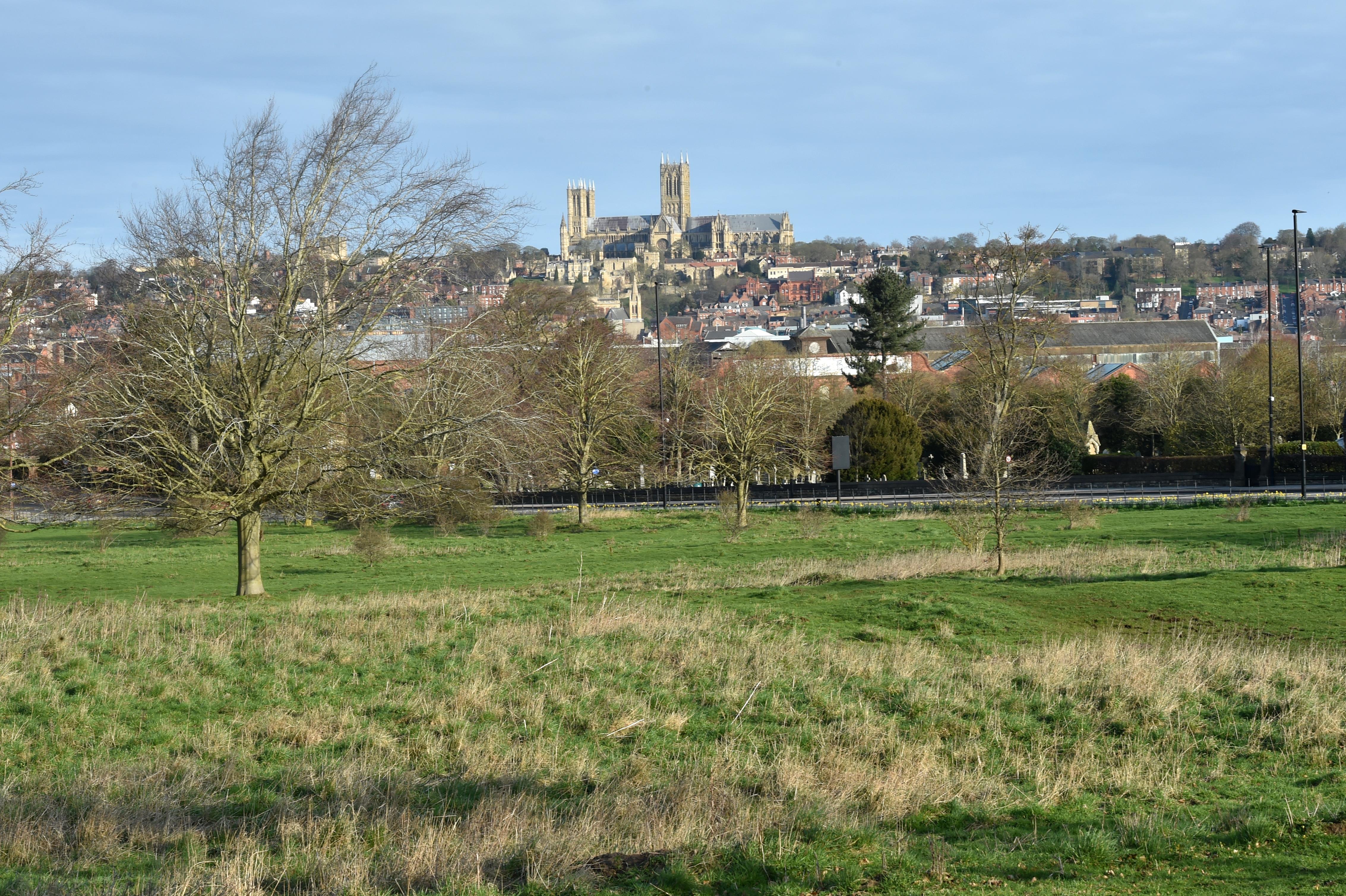 A field is in the forefront with sporadic trees, then there is a row of buildings and houses in the distance with Lincoln Cathedral in the middle right at the back with the top viewable above the houses.