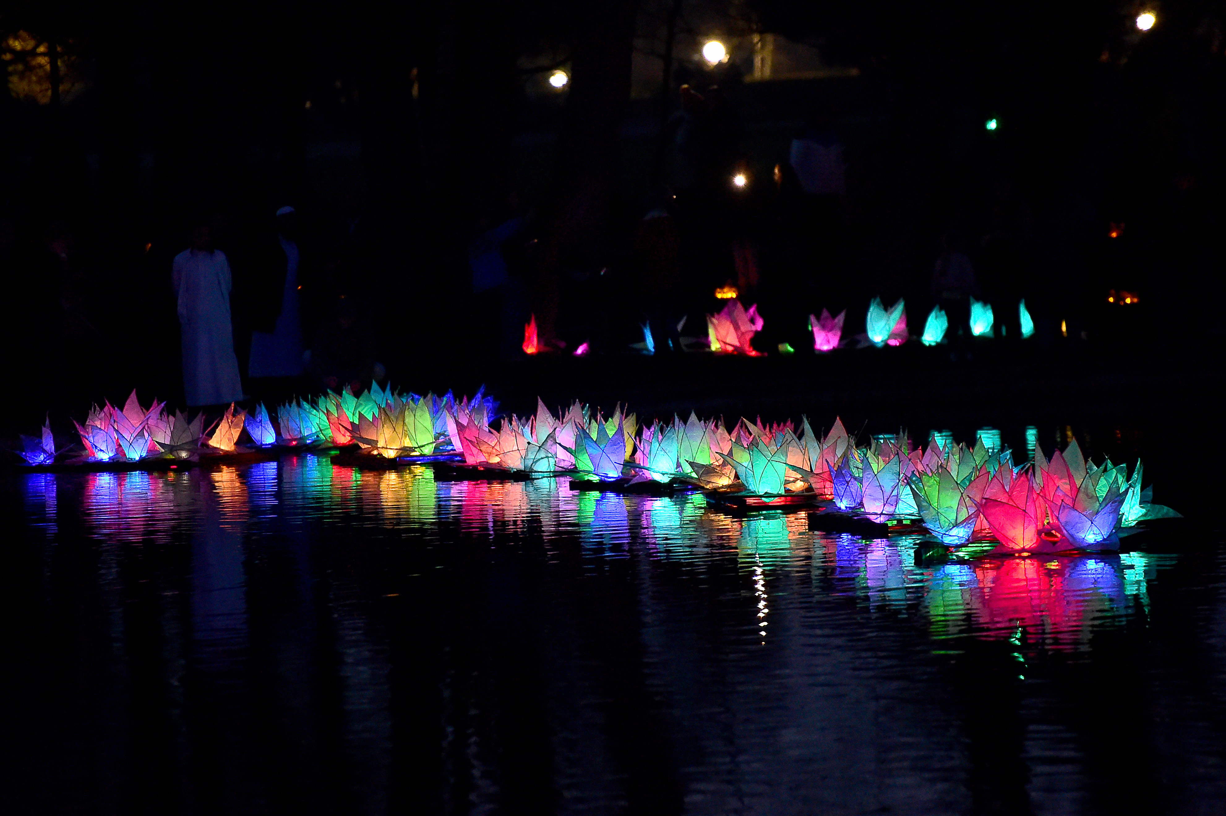 Lit up water lily sculptures on Boultham Park Lake