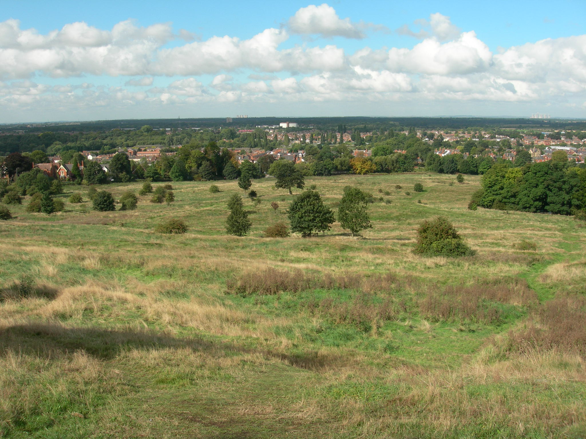 South common landscape