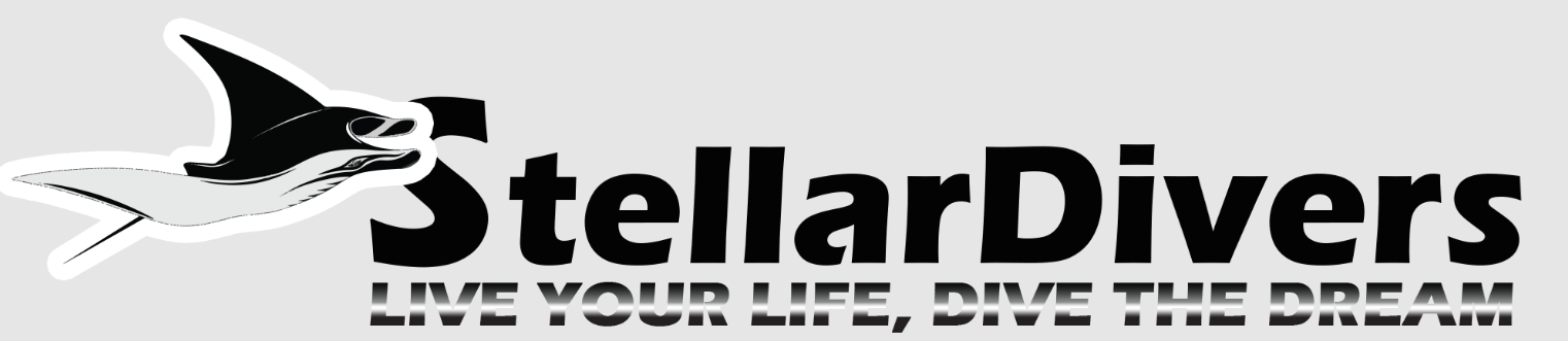 Black and white image of some sort of sea mammal alongside the company name ‘Stellar Divers’ with the tag line below reading “Live your life, dive the dream”.