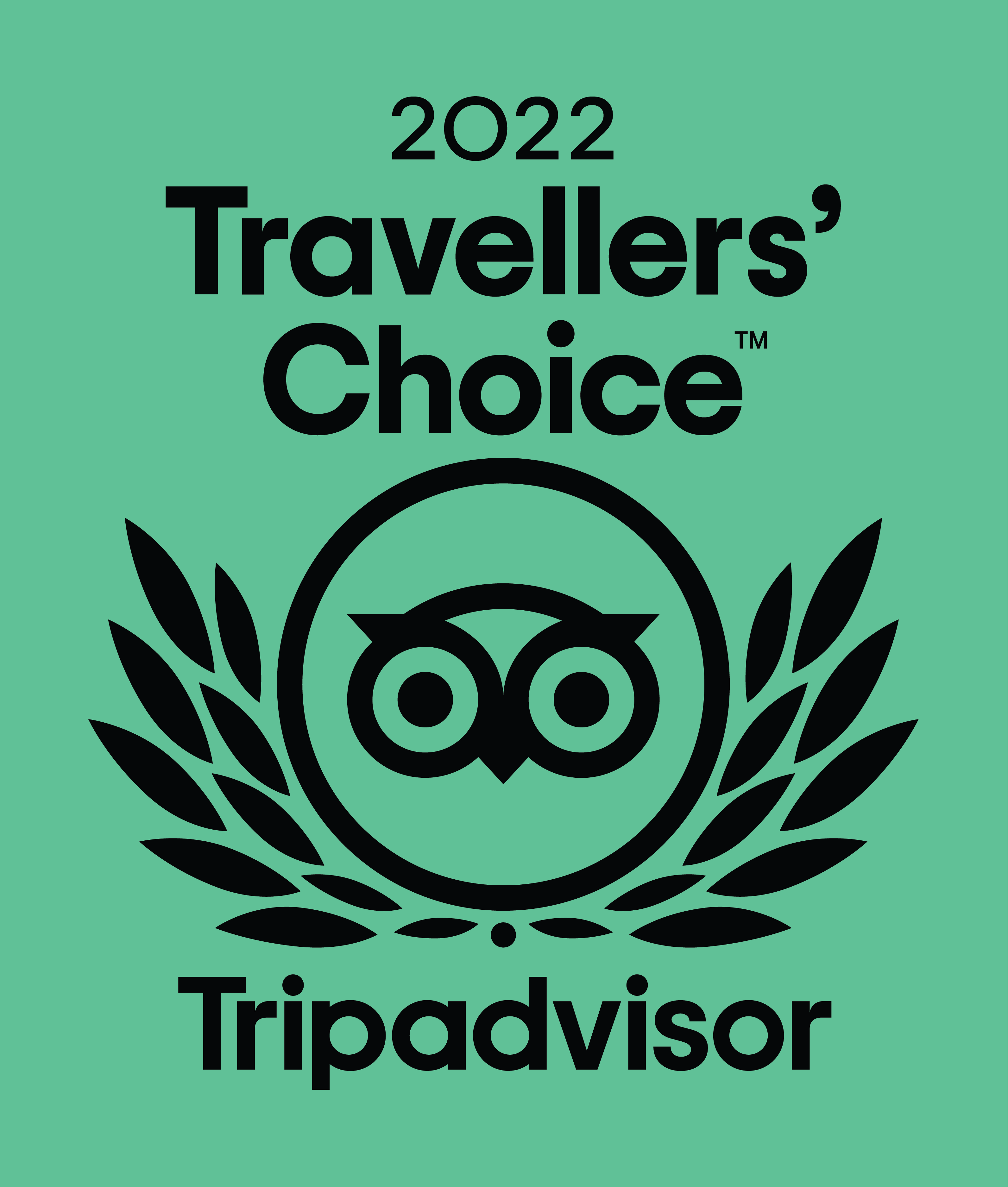 Travellers Choice Award 2022 Logo