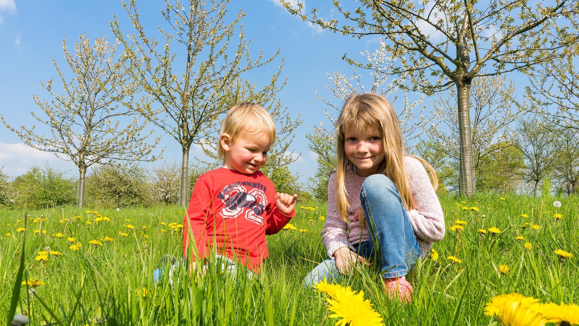 Two children playing in sunshine