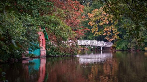 A bridge over a lake surrounding by large leafy trees. Some of the leaves have turned orange and red.