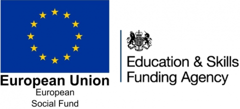 European Union Social Fund Logo