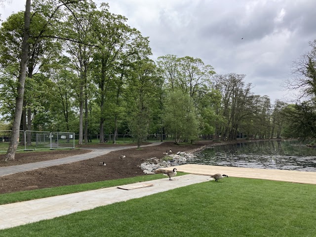 Boultham Park Lake restoration works taking shape