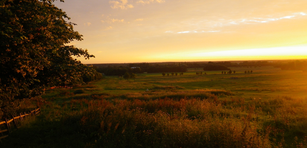 Landscape photo of the west common in Lincoln