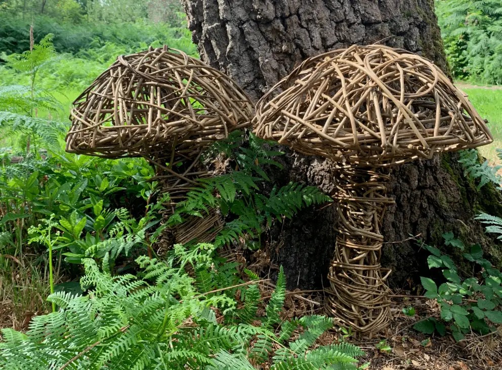 willow woven mushroom